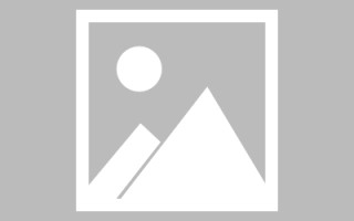 乳山买车网站制作app手机（买车网上app）